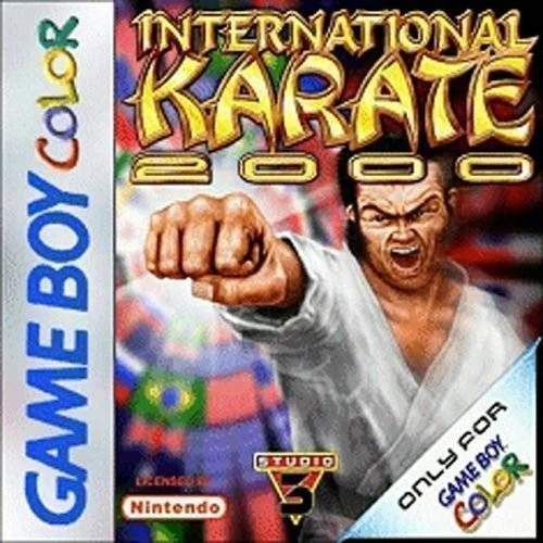 Internationales Karate