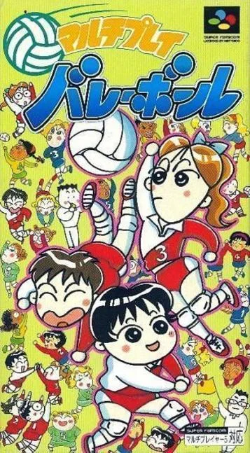 Pallavolo Multigiocatore