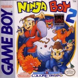 Ninja Junge 2