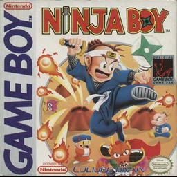 Ninja-Junge