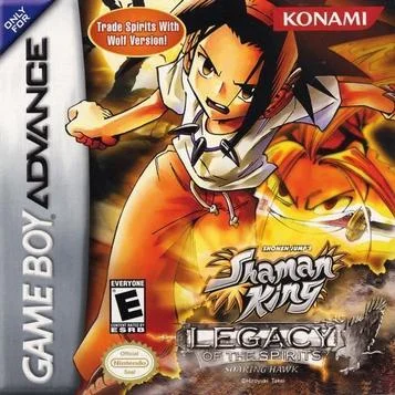Shonen Jump's - Shaman King - Eredità degli Spiriti - Falco in Volo