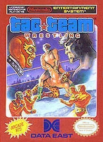 Lotta Professionale a Tag Team